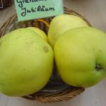 Apfel 'Grahams Jubiläumsapfel'