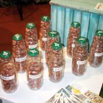 Corylus avellana 'Webbs Preisnuß'