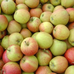Apfel 'Rubinette' ®