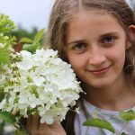 Viburnum macrocephalum 'HAPPY ® Fortuna'