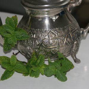 Mentha spicata 'Maroccan'