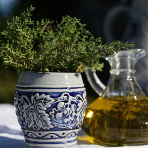Thymus vulgaris